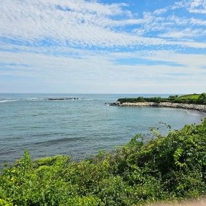 Meet your Posher, Liana